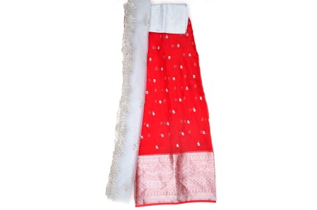 Organza Lehenga Red